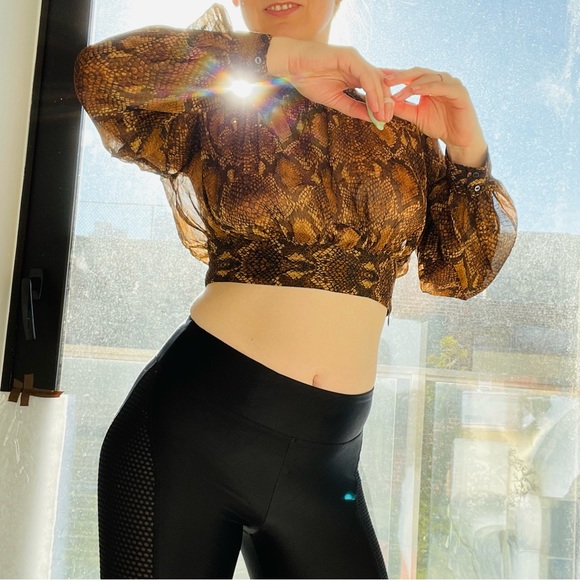 Zara Python Gold Dramatic Balloon Sleeves Sheer Crop Top - Picture 8 of 16